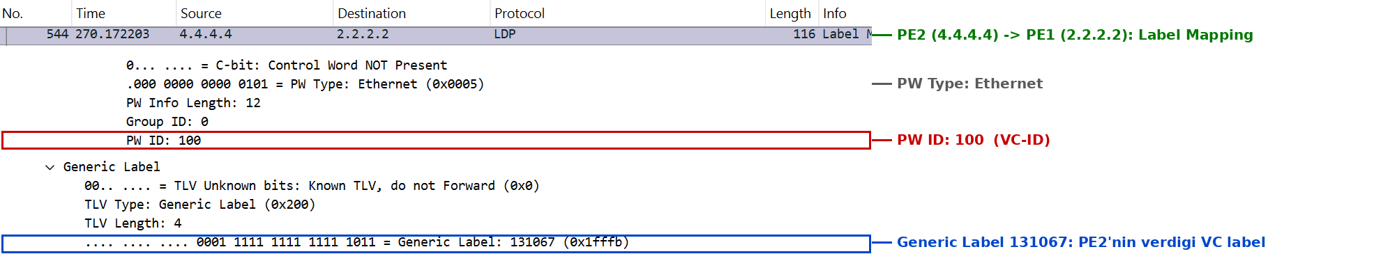 LDP Label Mapping, PWid FEC VC ID 100